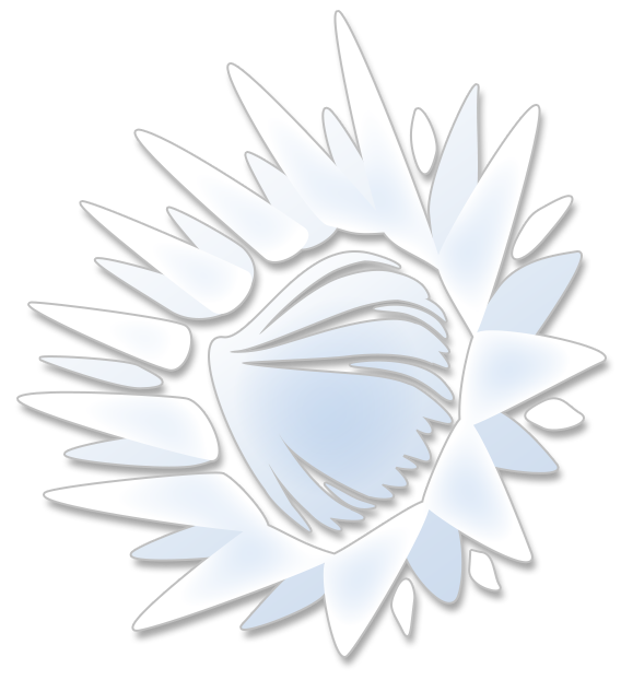 Protea Comet